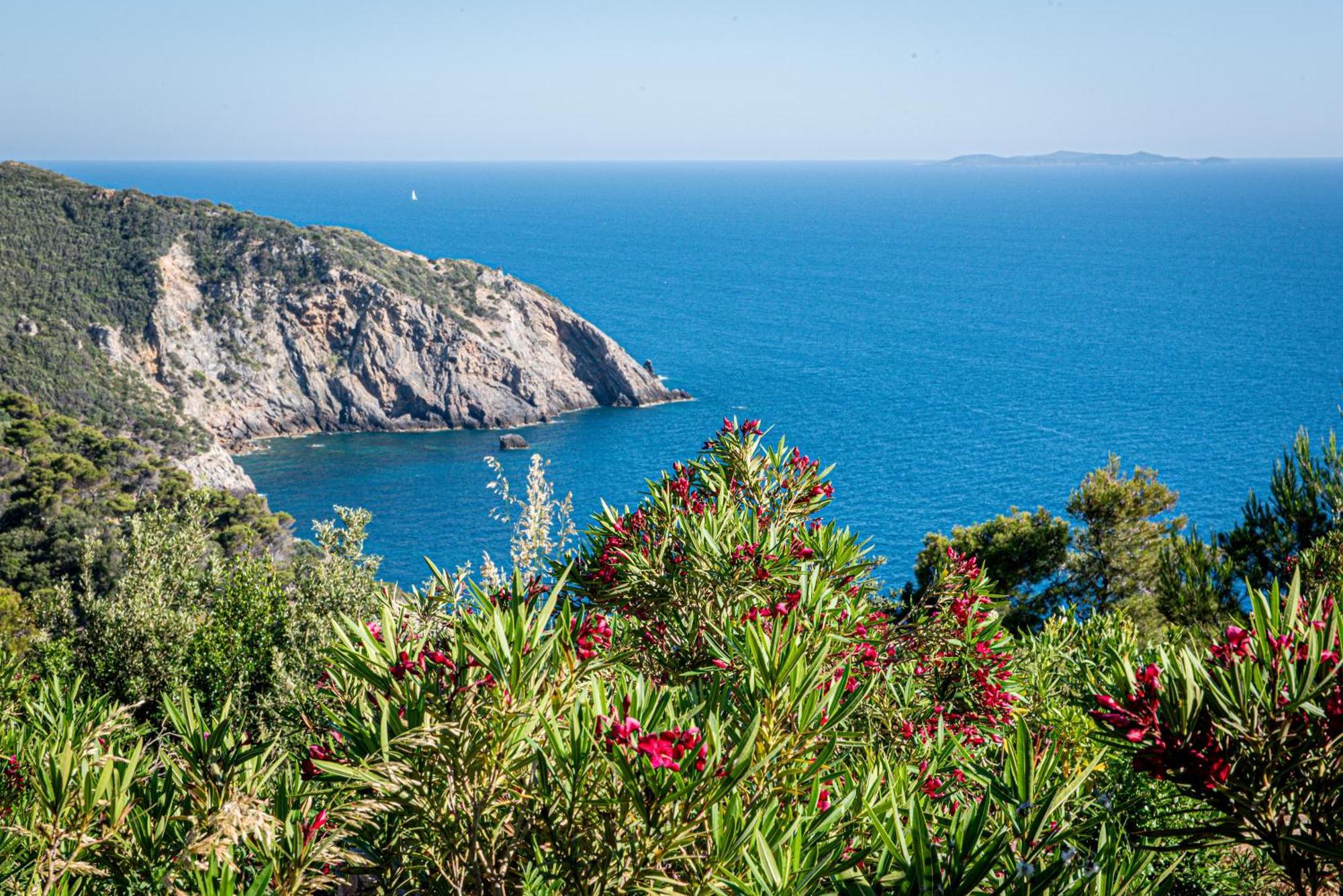 Boutique Hotel Torre Di Cala Piccola Porto Santo Stefano  Esterno foto