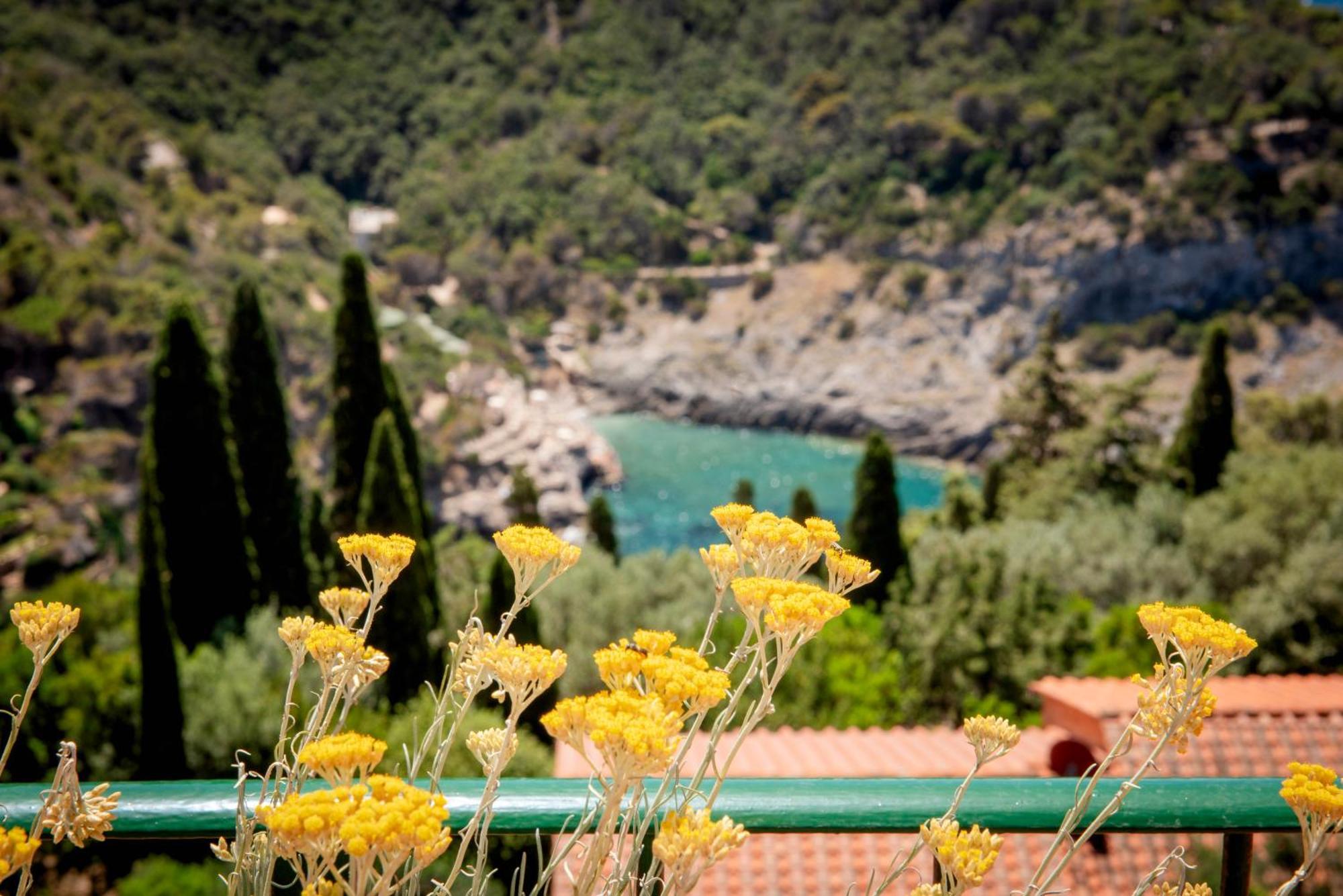 Boutique Hotel Torre Di Cala Piccola Porto Santo Stefano  Esterno foto